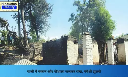 Mandi News: पाली में मकान और गोशाला जलकर राख, मवेशी झुलसे