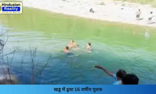 Hamirpur News: खड्ड में डूबा 16 वर्षीय युवक
