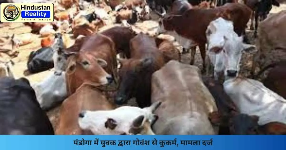 Una News: पंडोगा में युवक द्वारा गोवंश से कुकर्म, मामला दर्ज
