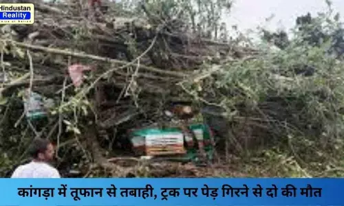 Kangra News: कांगड़ा में तूफान से तबाही, ट्रक पर पेड़ गिरने से दो की मौत