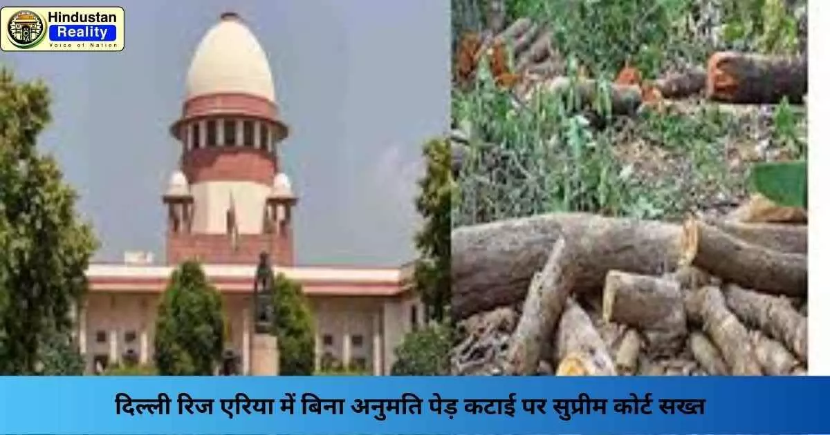 Delhi Environment News: दिल्ली रिज एरिया में बिना अनुमति पेड़ कटाई पर सुप्रीम कोर्ट सख्त