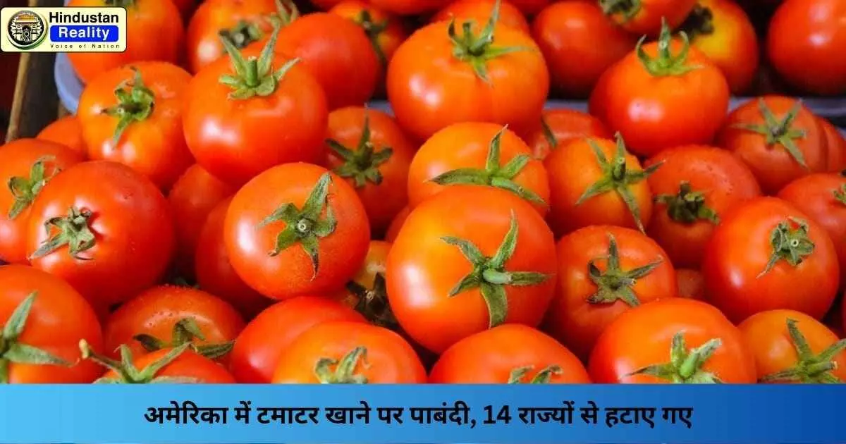USA Tomato Ban: अमेरिका में टमाटर खाने पर पाबंदी, 14 राज्यों से हटाए गए USA Tomato Ban: अमेरिका में टमाटर खाने पर पाबंदी, 14 राज्यों से हटाए गए