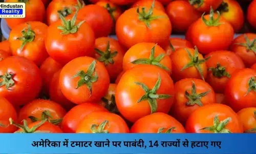 USA Tomato Ban: अमेरिका में टमाटर खाने पर पाबंदी, 14 राज्यों से हटाए गए