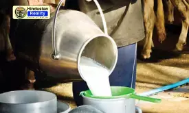 Himachal News Today: हर दिन 2.32 लाख लीटर दूध खरीद रही सरकार, ग्रामीण अर्थव्यवस्था को मिल रहा सहारा